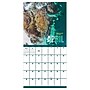 2027 TF Publishing Landscapes 12" x 12" Monthly Wall Calendar (27-1015)~#|#~B9A982AD-F6AE-4A3C-87494F994C34067A_sc7