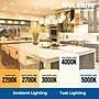 Bulbrite 9 Watt Adjustable 4" Integrated LED Recessed Downlight with E26 Quick Connect, 4000K Cool White, 650 Lumens, 4/Pack~#|#~B9AB3073-E042-4FB2-ADD8BF23C3D6F5F2_sc7