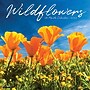 2027 Willow Creek Wildflowers 12" x 12" Monthly Wall Calendar, Assorted Colors (63026)~#|#~B9B14F08-C396-4164-9B7896A1F1E098AA_sc7