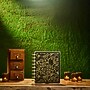 2026 The Happy Planner Herbarium 8.75" x 9.75" Weekly & Monthly Standard Planner, Plastic Cover (PPCD12-673)~#|#~B9BBBC88-5CD0-4574-B9A2C2542844047E_sc7