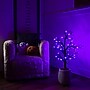 Nearly Natural Pre-Lit Artificial Halloween Spider Twig Tree, 3' (T5362)~#|#~B9C750CB-08A0-410D-9CF66CB51B545F92_sc7