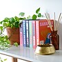 DesignWorks Ink Laguna Beach Book Storage Container with Lid, Paperboard, Multicolored (TBBX-100)~#|#~B9C92668-89C4-4BB9-A3DAE0C79AF5C75C_sc7