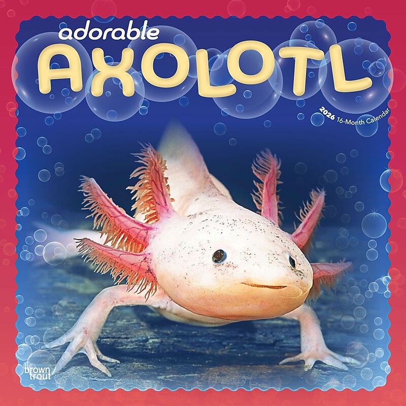 2026 BrownTrout Adorable Axolotl 12" x 12" Monthly Wall Calendar (9798330708079) image 1