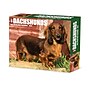 2026 Willow Creek Dachshunds 6.2" x 5.4" Day-to-Day Calendar (54093)~#|#~B9DB407C-2F3A-4FB9-8E7BDD9181F49B0A_sc7