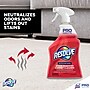 Professional Resolve Spot & Stain Carpet Cleaner, 32 Oz. (36241-97402)~#|#~B9E2BEA7-D7C5-4D7F-A1EFAB2D1938D275_sc7
