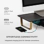 Anji Mountain Mango Wood & Metal Monitor Stand with Two USB Ports and Drawer, Black and Gold (MS-BLK-06GLD-PD)~#|#~B9E8FF98-FA48-4005-8B979972EDAD8F2C_sc7