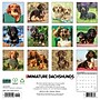 2027 Willow Creek Miniature Dachshunds 12" x 12" Monthly Wall Calendar, Assorted Colors (61206)~#|#~B9F26FBF-584E-4821-B76526EF01E10023_sc7