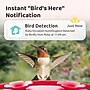 Birdfy Smart Hummingbird Feeder Ruby with Camera and AI by Subscription, Red (EPPAMBNI8902100)~#|#~B9F46400-5DFA-4F05-BF4F4D78B454D84D_sc7