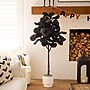 Nearly Natural Artificial Halloween Black Fiddle Leaf Tree, 5' (T5147)~#|#~BA18E0BF-8B61-4D49-B3B24A984C1E53C2_sc7