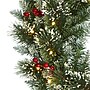 Nearly Natural 24-in Frosted Swiss Pine Artificial Wreath with 35 Clear LED Lights and Berries (W1113)~#|#~BA1DE42F-A737-411E-89E277FF99475D13_sc7