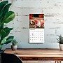 2027 BrownTrout Basset Hounds 7" x 7" Monthly Wall Calendar, Assorted Colors (9798330714094)~#|#~BA1E99FD-F00C-4374-92CFCF2EC11057FA_sc7