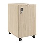 Bush Business Furniture Assure Mobile File Cabinet, Letter/Legal Size, Lockable, 26"H x 16"W x 20"D, Natural Elm (AUS216NESU)~#|#~BA3FEB41-4C02-4A41-82FEB7F467ECA1BB_sc7