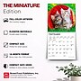 2027 BrownTrout For the Love of Kittens 7" x 7" Monthly Wall Calendar (9798330709731)~#|#~BA4500B5-A64E-4BB0-90802A7C42FE6B40_sc7