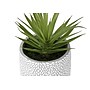 Monarch Specialties Inc. 9" Artificial Succulent Plant in Pot, 2/Set (I 9362)~#|#~BA5716CF-659C-4542-85BE3113EC632E69_sc7