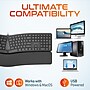 Delton KB250 Wired Ergonomic Keyboard with Cushioned Wrist Rest, USB-A, Black (DKBE250-U)~#|#~BA76B841-E5C5-4A85-AAA596AFAB9E02A8_sc7