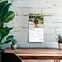2026 BrownTrout German Shepherds 7" x 7" Monthly Wall Calendar (9798330707690)~#|#~BA7D71B9-0B20-4BE5-81D2CFE6E03DA19A_sc7