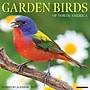 2027 Willow Creek Garden Birds of North America 12" x 12" Monthly Wall Calendar, Assorted Colors (60315)~#|#~BA809859-1E81-4353-990C6887D2FA67C5_sc7
