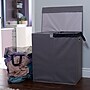 Household Essentials Collapsible Laundry Sorter with Lid and 2‑Compartment Hard‑Sided Hamper, Gray (HH5622)~#|#~BA86B5E8-44C5-48E3-A17E6CB4B1EE1D3D_sc7