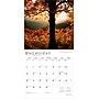 2026 BrownTrout National Parks 12" x 12"  Monthly, Paper Cover, National Parks (9798330704804)~#|#~BABC55C9-D2EE-4BA6-9875E99EA890F916_sc7