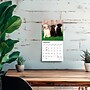 2027 BrownTrout Labrador Retrievers 7" x 7" Monthly Wall Calendar (9798330710034)~#|#~BACC57E5-FC83-4D36-8A5AB08C74AFACBD_sc7