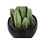 Monarch Specialties Inc. 6" Artificial Succulent Plants, 3/Set (I 9556)~#|#~BAE43690-1274-4F56-AE440ED8EEF1E671_sc7