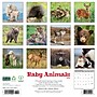 2026 Willow Creek Baby Animals 12" x 12" Monthly Wall Calendar (50002X)~#|#~BAFCE983-0BE5-451B-8D31EA15D7AAA519_sc7