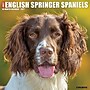 2027 Willow Creek English Springer Spaniels 12" x 12" Monthly Wall Calendar (60094)~#|#~BAFDD2D4-B3BF-40BC-AD8CDBEFECB38526_sc7