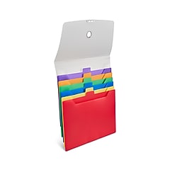 Staples Plastic Accordion File, 6-Pocket, Letter Size, Multicolor