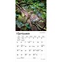 2027 BrownTrout Hummingbirds 7" x 7" Monthly Wall Calendar (9798330709830)~#|#~BB12E51F-244E-475C-9F4C1DE761A6214C_sc7