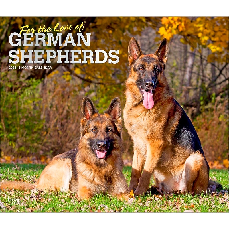 2026 BrownTrout For the Love of German Shepherds 14" x 12" Monthly Wall Calendar (9798330703395) image 1