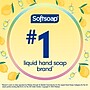 Softsoap Limited Edition Liquid Hand Soap, Summer Lemonade Scent, 11.25 fl. oz. (61047385)~#|#~BB1B347D-ECCF-4690-9777A1C127D8ADE4_sc7