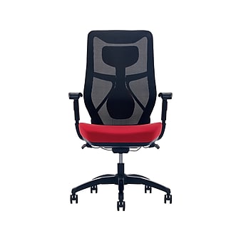 Beautyrest Duo-EX Ergonomic Mesh Swivel Computer Chair, Red (60051-RED)