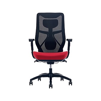 Beautyrest Duo-EX Ergonomic Mesh Swivel Computer Chair, Red (60051-RED)