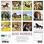 2026 Willow Creek Horses 12" x 12" Monthly Wall Calendar (51504X)~#|#~BB475ACB-0E54-41BC-AD865C2C289244D8_sc7