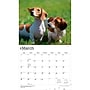 2027 BrownTrout For the Love of Dachshunds 14" x 12" Monthly Wall Calendar, Assorted Colors (9798330709243)~#|#~BB54F37A-5874-4586-9F1B264D1D6C3FCB_sc7