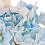 National Tree Company 10" Blue Hydrangea Bouquet in White Basket (MT81-01326GBL-1)~#|#~BB58D90B-6496-4B1E-A2CB068E9681BD1B_sc7