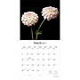 2027 BrownTrout In the Garden 12" x 12" Monthly Wall Calendar (9798330713974)~#|#~BB64C302-C3FE-49A2-A63ED249CC5355AD_sc7