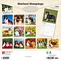 2026 BrownTrout Shetland Sheepdogs 12" x 12" Monthly Wall Calendar (9798330705511)~#|#~BB65033E-BDF5-43A5-92579E65BF1A73AF_sc7