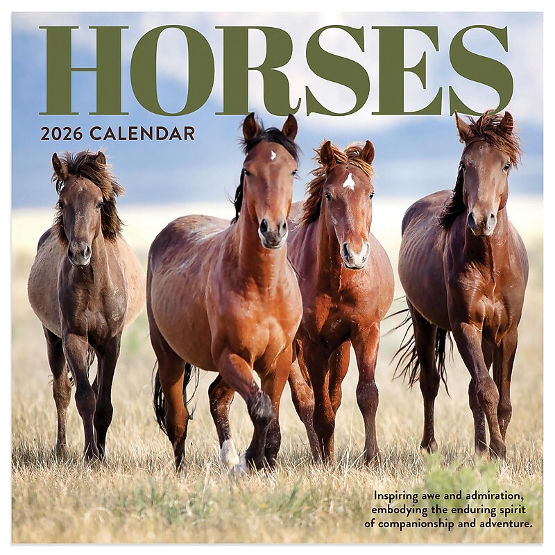 2026 TF Publishing 12" x 17" TF Publishing 7" x 7" Horses Mini Calendar 26-2001 image 1