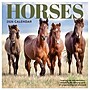 2026 TF Publishing 12" x 17" TF Publishing 7" x 7" Horses Mini Calendar 26-2001~#|#~BB67A851-AADF-4EA1-8A067CA4060B4918_sc7