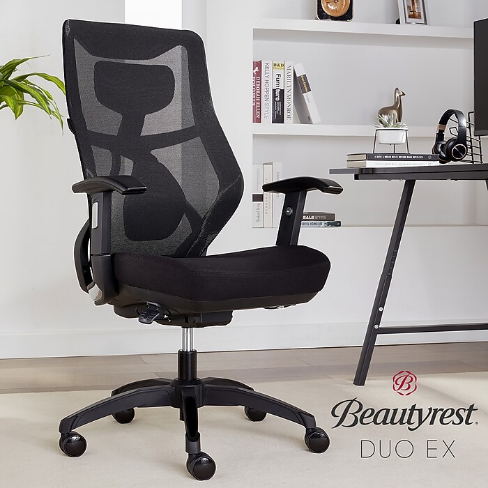 Beautyrest Duo-EX Ergonomic Mesh Swivel Task Chair, Black/Gray
