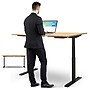 Uncaged Ergonomics Rise Up Electric Adjustable Height Standing Desk with Natural Bamboo Desktop (RUbb)~#|#~BB9D58AE-CAD1-42AC-B372C130ED2F4A6B_sc7