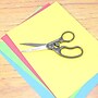Westcott 8" Stainless Steel General Purpose Scissors, Pointed Tip, Gray (01080)~#|#~BB9F3F68-C49F-4179-A2ADB11D536E7F92_sc7