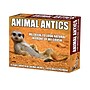 2026 Willow Creek Animal Antics 6.2" x 5.4" Day-to-Day Calendar (55137)~#|#~BBA31E14-F11E-462A-8DFFBCC0AC63925D_sc7