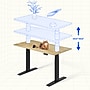 FlexiSpot E7COMMERCIAL 48''W Electric Height Adjustable Standing Desk, Rubberwood/Black(E7BCOM4824-RW)~#|#~BBB5D90E-A567-43F7-865AE83C64D711A6_sc7