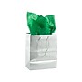 JAM Paper 20" x 26" Tissue Paper, Green, 10 Sheets/Pack (1152352)~#|#~BBD3CB0B-294F-4F1A-9451FEBC3E865C66_sc7