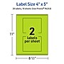 Avery Rectangle Multipurpose Labels, 4" x 5", Bright Green, 20/Pack (94253)~#|#~BBDDB3E8-B73B-4A17-8107F5BAF1A9AFF8_sc7