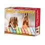 2027 Willow Creek Gettin' Squirrelly 5.4" x 6.2" Day-to-Day Calendar (63484)~#|#~BBDF1123-455B-4A95-96233C332D6145D5_sc7