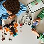 LEGO Minecraft Wither Battle, 494 Pieces (21590)~#|#~BC1392F1-B3B6-49FC-BDA119CC839652CB_sc7