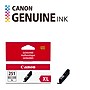 Canon 251XL Gray High Yield Ink Cartridge  (6452B001)~#|#~BC304544-EDCD-408C-9A4BB1780B0D4095_sc7
